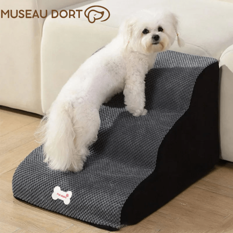Escalier en mousse pour chien antidérapant permettant de monter sur le canapé sans sauter, usage quotidien sécurisé.