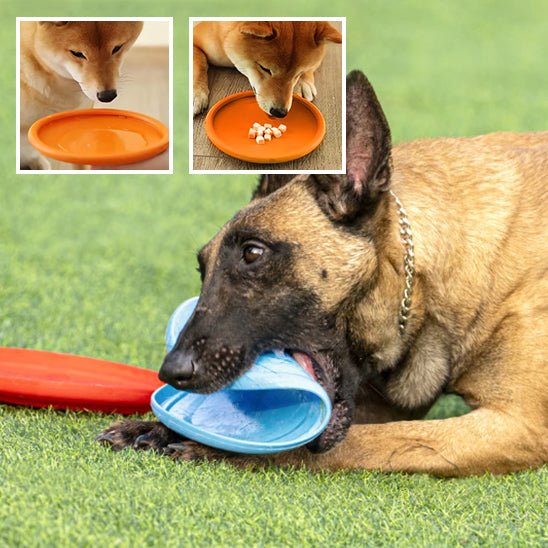 Chien mâchant un frisbee bleu Meianyu sur gazon, deux frisbees oranges visibles. Disponible chez Museau Dort.