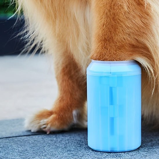 Patte dâun grand chien insĂ©rĂ©e dans un lave-patte bleu pour le nettoyage â Disponible chez Museau Dort