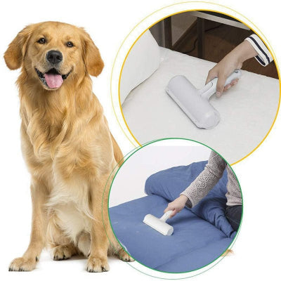 Chien heureux dans un intérieur propre, sans poils grâce au rouleau d'épilation réutilisable pour chien"