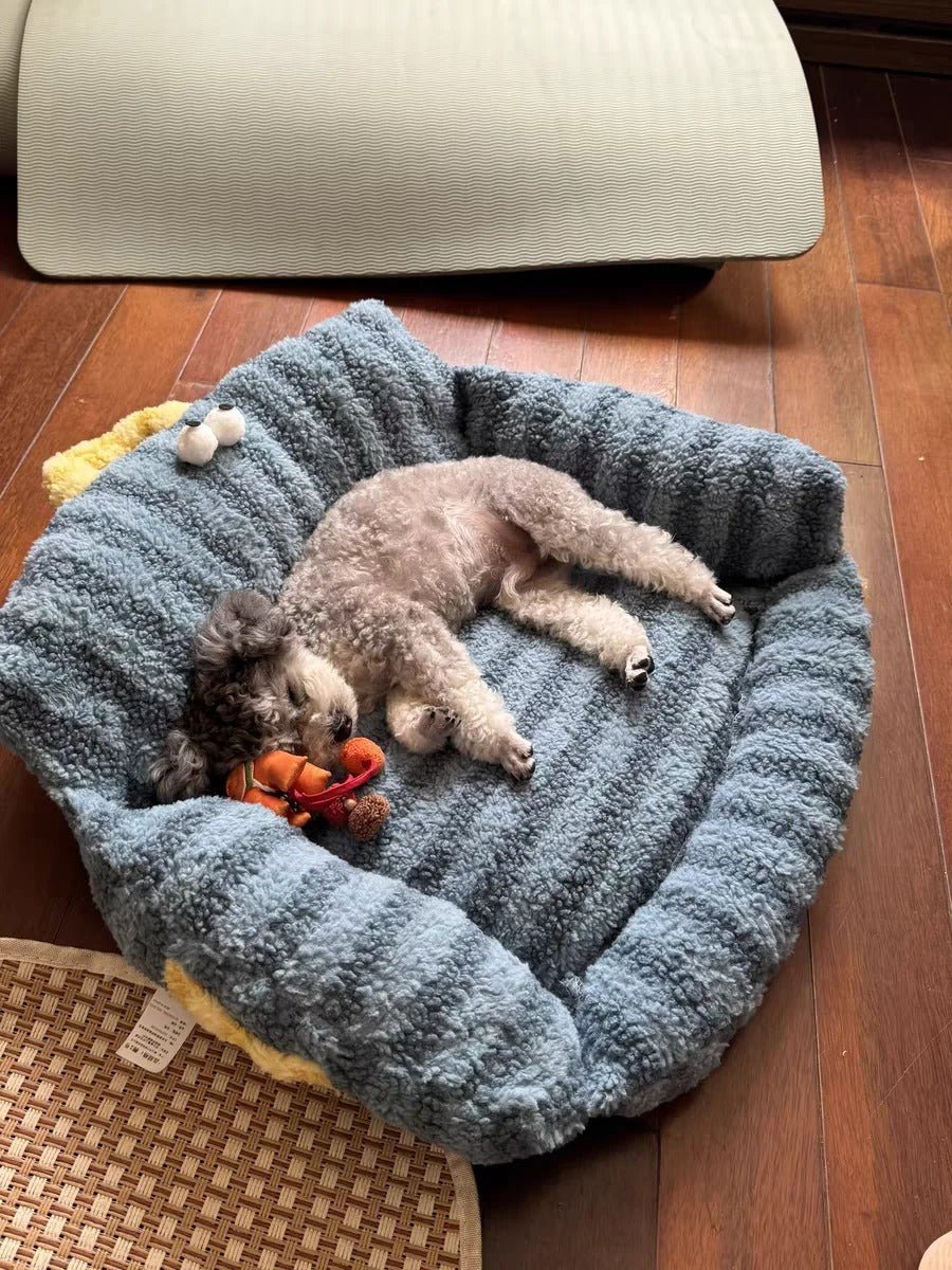 Canapé Moelleux pour Petit Chien - Confort, Chaleur et Sommeil Réparateur - Museau dort