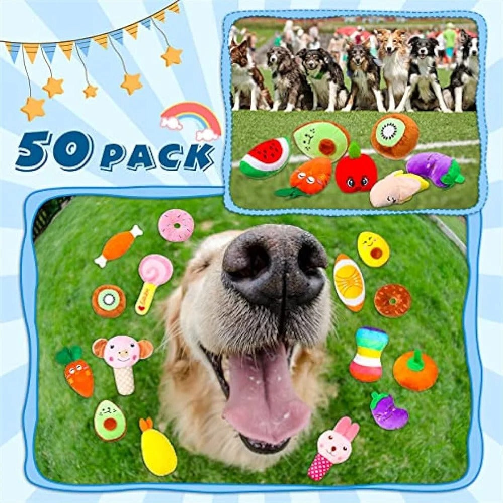 Chien heureux entouré de jouets peluche pour chien, lot de 50 pièces colorées, pack idéal pour petit chien. Disponible chez Museau Dort.