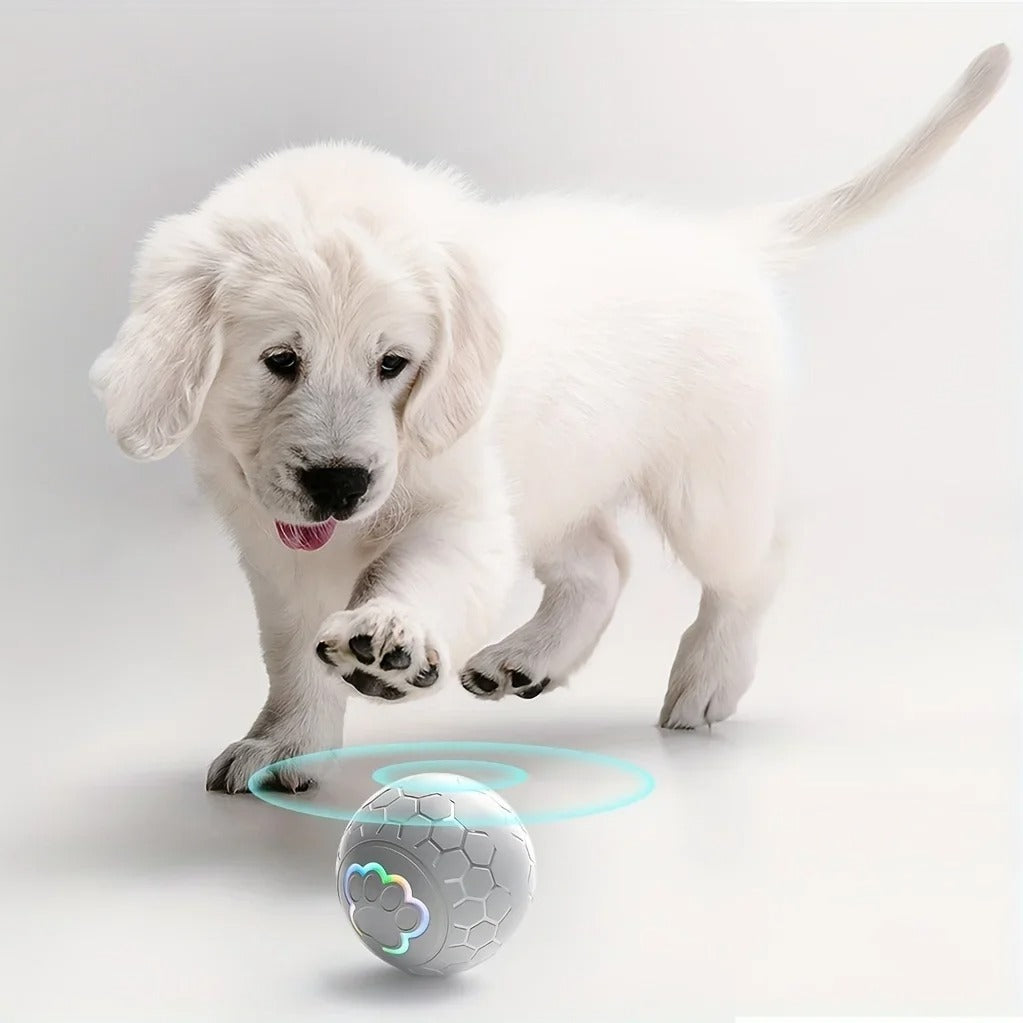 Chiot blanc jouant avec une balle interactive LED rebondissante â Disponible chez Museau Dort.