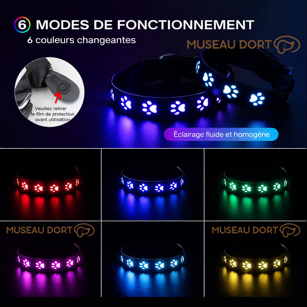 Collier lumineux pour chien avec 6 modes de fonctionnement et couleurs LED, éclairage fluide et homogène – Museau Dort