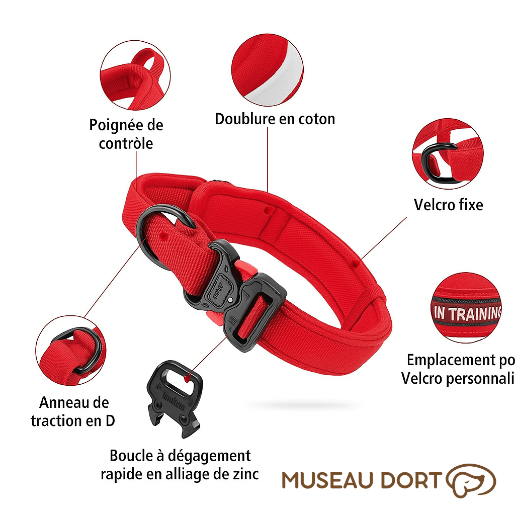 Collier Tactique Chien | Contrôle Total pour Chiens Puissants - Museau dort