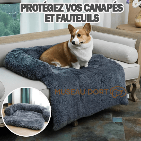 Coussin Chien 2 en 1 | Confort Douillet et Protection pour le Canapé - Museau dort