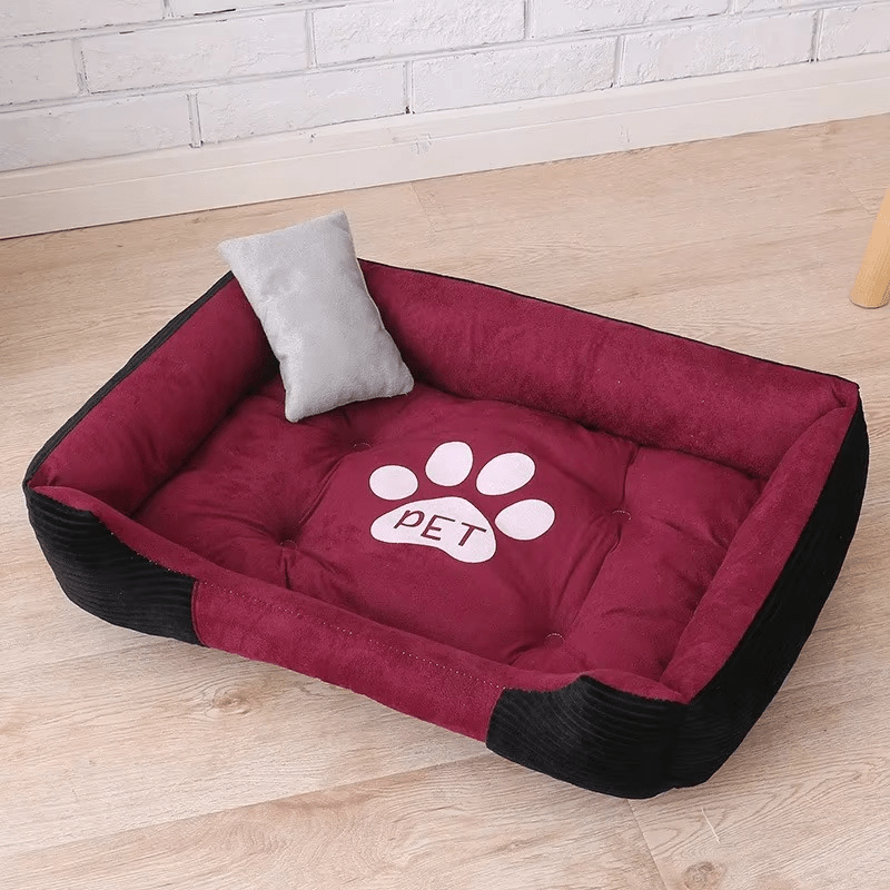 Coussin pour Chien – Confort Durable et Entretien Facile - Museau dort