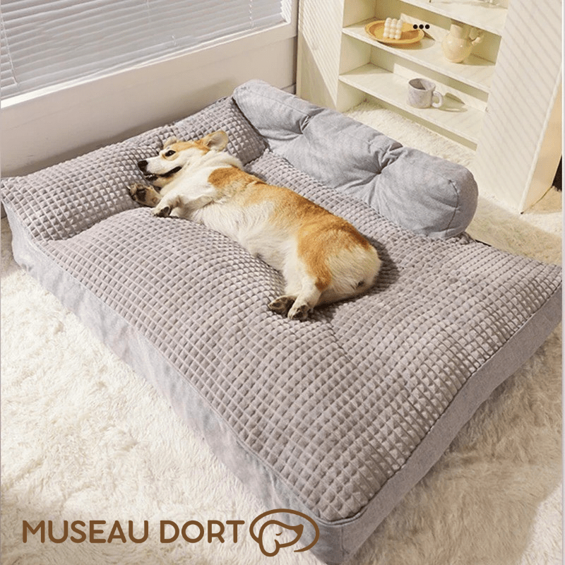 Coussin pour chien Hoopet avec chien allongé détendu, couchage orthopédique enveloppant Museau Dort