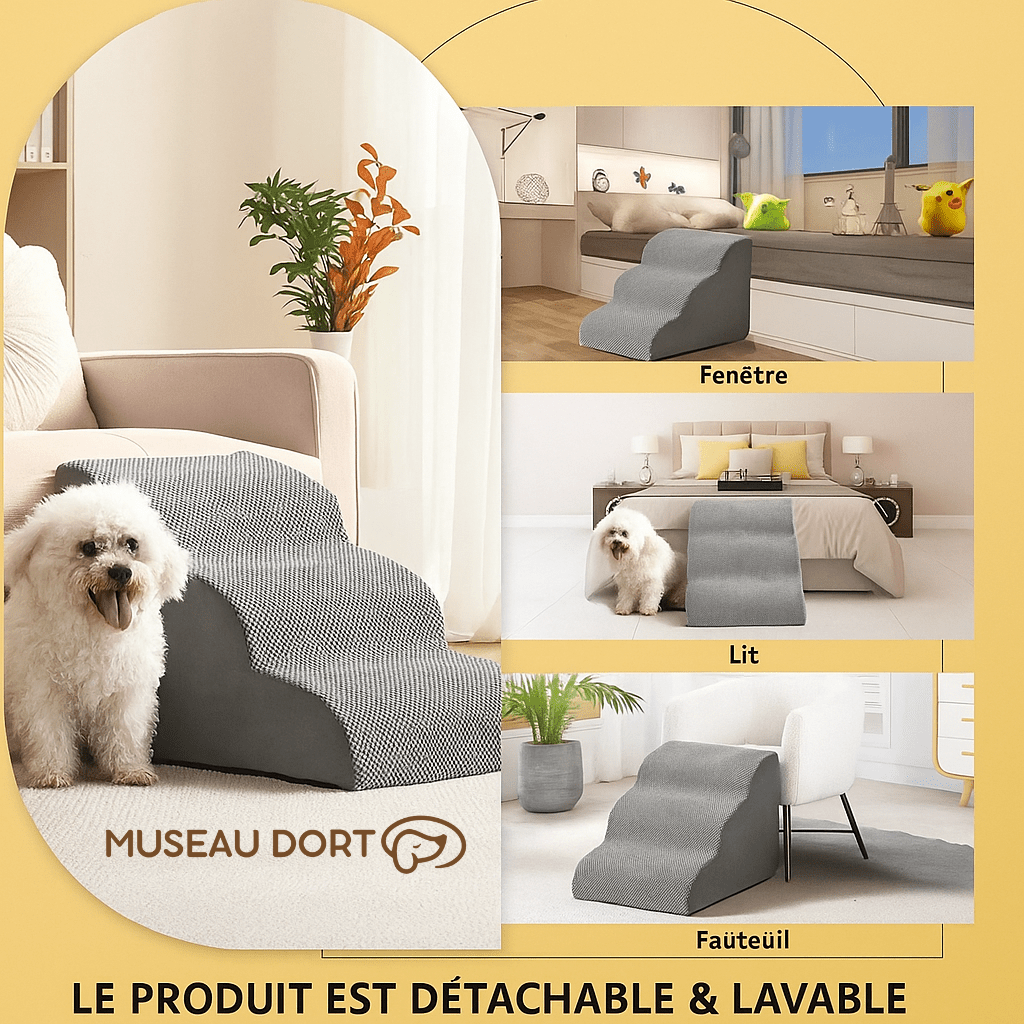 Escalier pour Chien Âgé Intérieur Design – Confort et Élégance au Quotidien - Museau dort