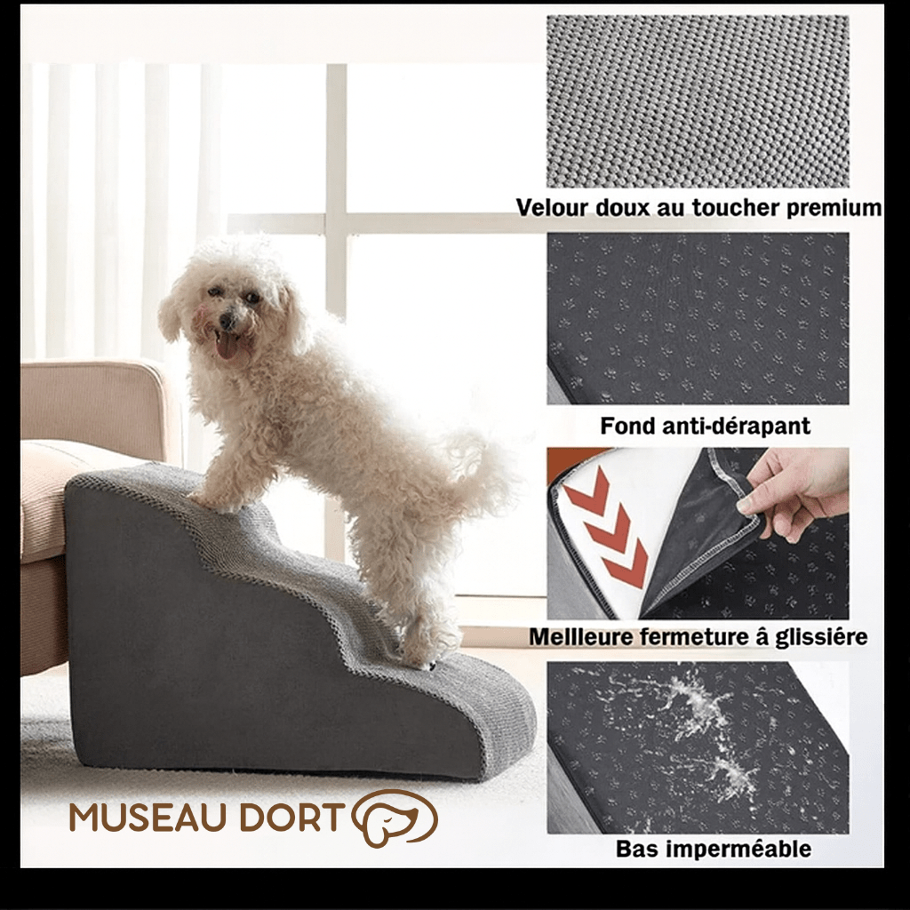 Escalier pour Chien Âgé Intérieur Design – Confort et Élégance au Quotidien - Museau dort