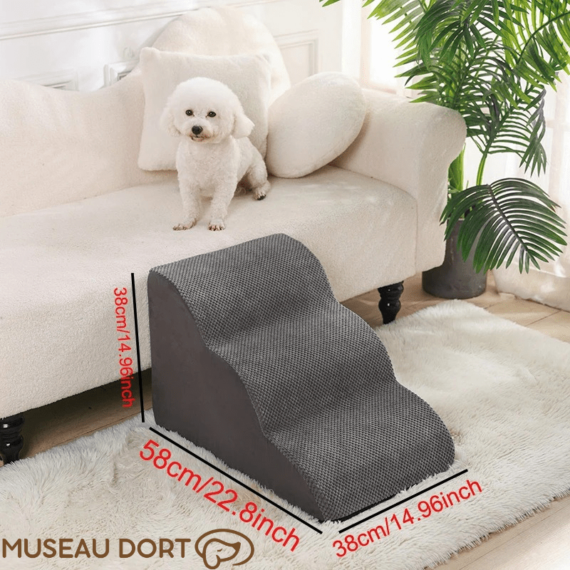 Escalier pour Chien Âgé Intérieur Design – Confort et Élégance au Quotidien - Museau dort