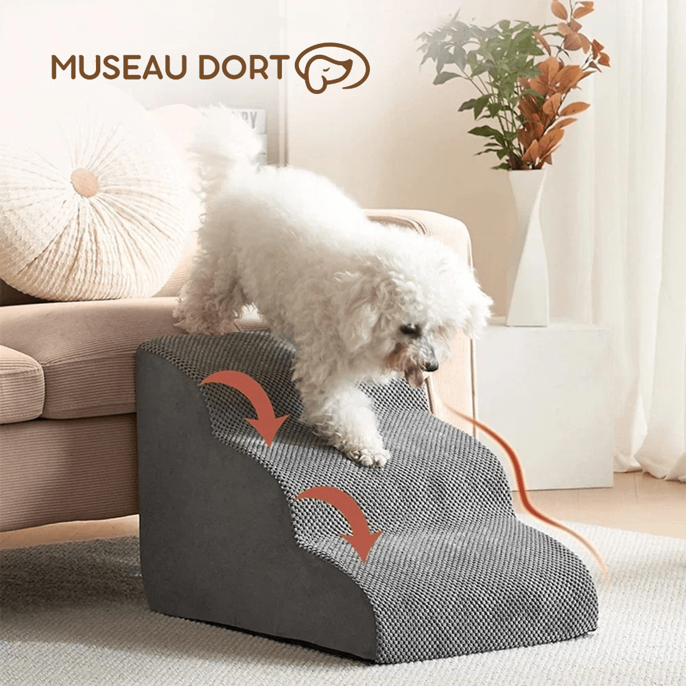 Escalier pour Chien Âgé Intérieur Design – Confort et Élégance au Quotidien - Museau dort