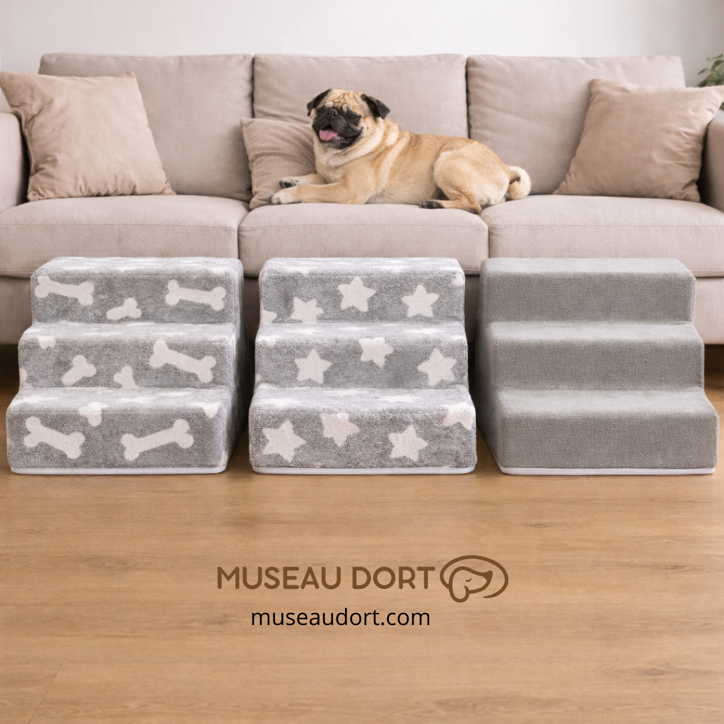 Trois modèles d’escalier pour chien alignés devant le canapé, offrant confort et sécurité pour chiens seniors – Museau Dort