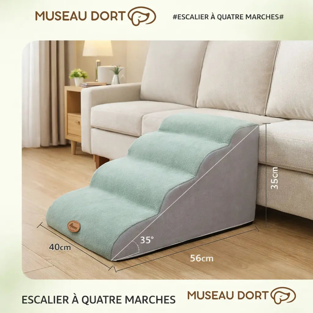 Escalier quatre marches pour chien âgé contre canapé, dimensions visibles, Museau Dort