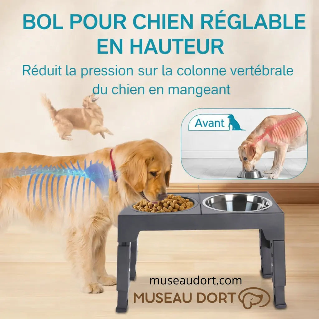 gamelle surélevée pour chien réglable qui réduit la pression sur la colonne vertébrale pendant le repas Museau Dort