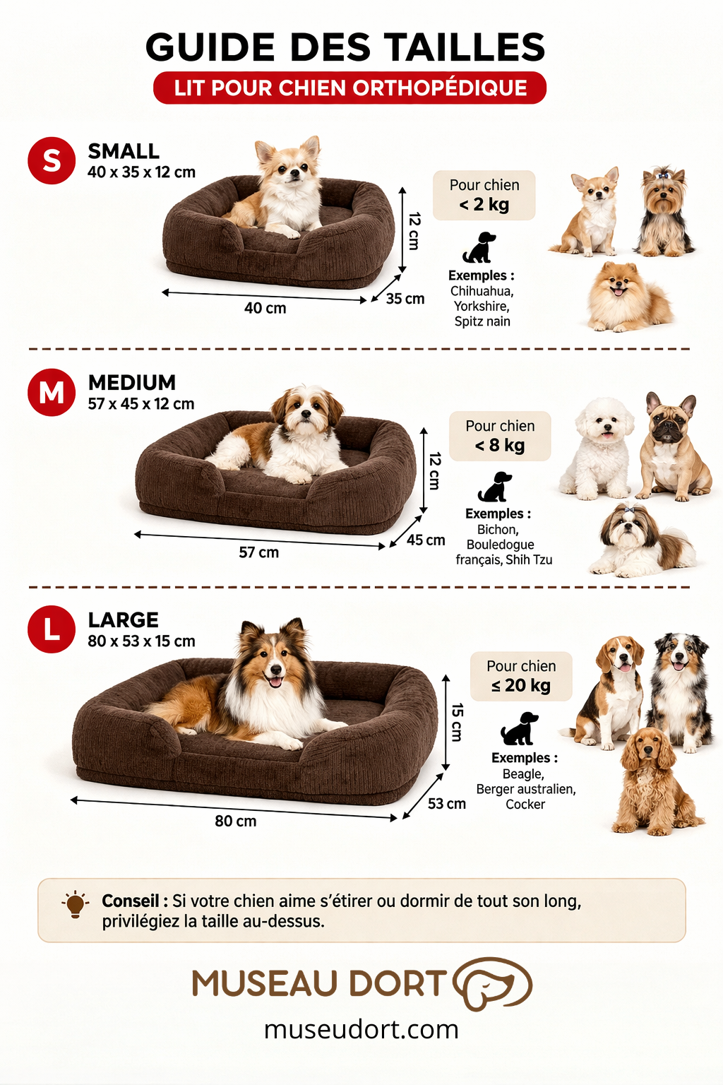 Guide des tailles du lit pour chien orthopédique S, M et L avec dimensions et exemples de races, Museau