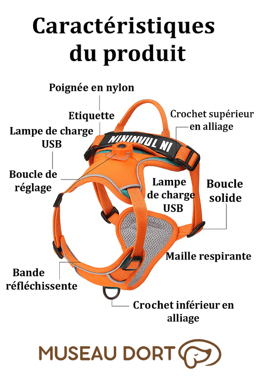 Harnais Lumineux Chien LED | Confort et Visibilité Nocturne - Museau dort
