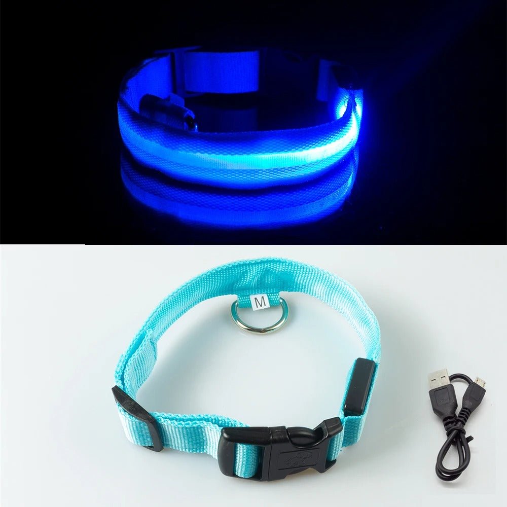 LedCollar™ - Collier à LED rechargeable pour chien - Museau dort