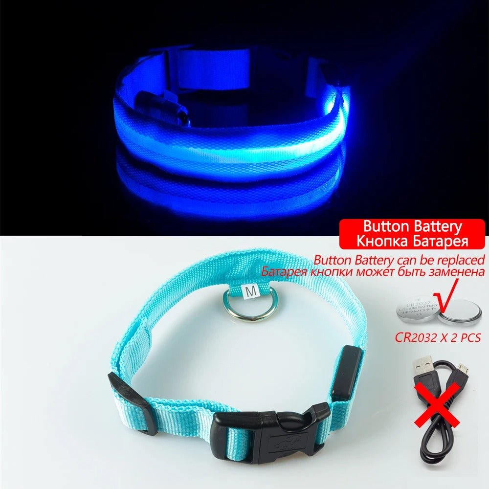 LedCollar™ - Collier à LED rechargeable pour chien - Museau dort