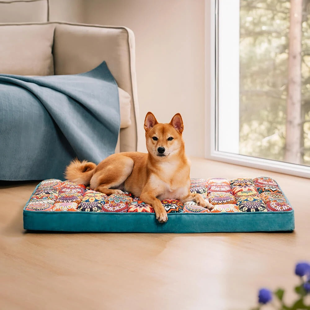 Chien allongé sur un lit orthopédique marocain pour chien, coussin lavable et antidérapant dans un salon lumineux. Disponible chez Museau Dort.