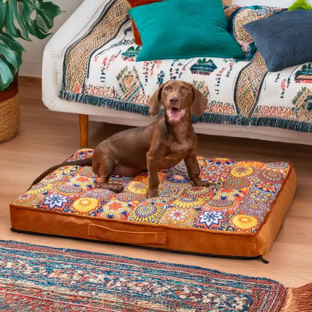 Chien assis sur un lit orthopédique marocain pour chien, coussin épais lavable et antidérapant, design décoratif en salon. Disponible chez Museau Dort.