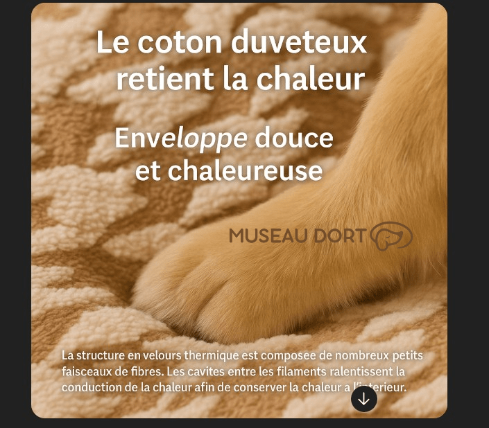 Niche pour Chien Intérieur Design | Confort, Esthétique et Sérénité à la Maison - Museau dort