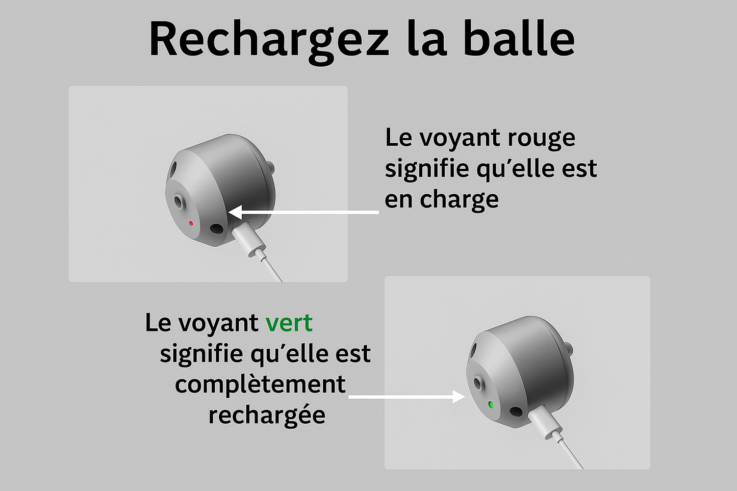 Voyant de charge rouge et vert de la balle interactive pour chien. Disponible chez Museau Dort.