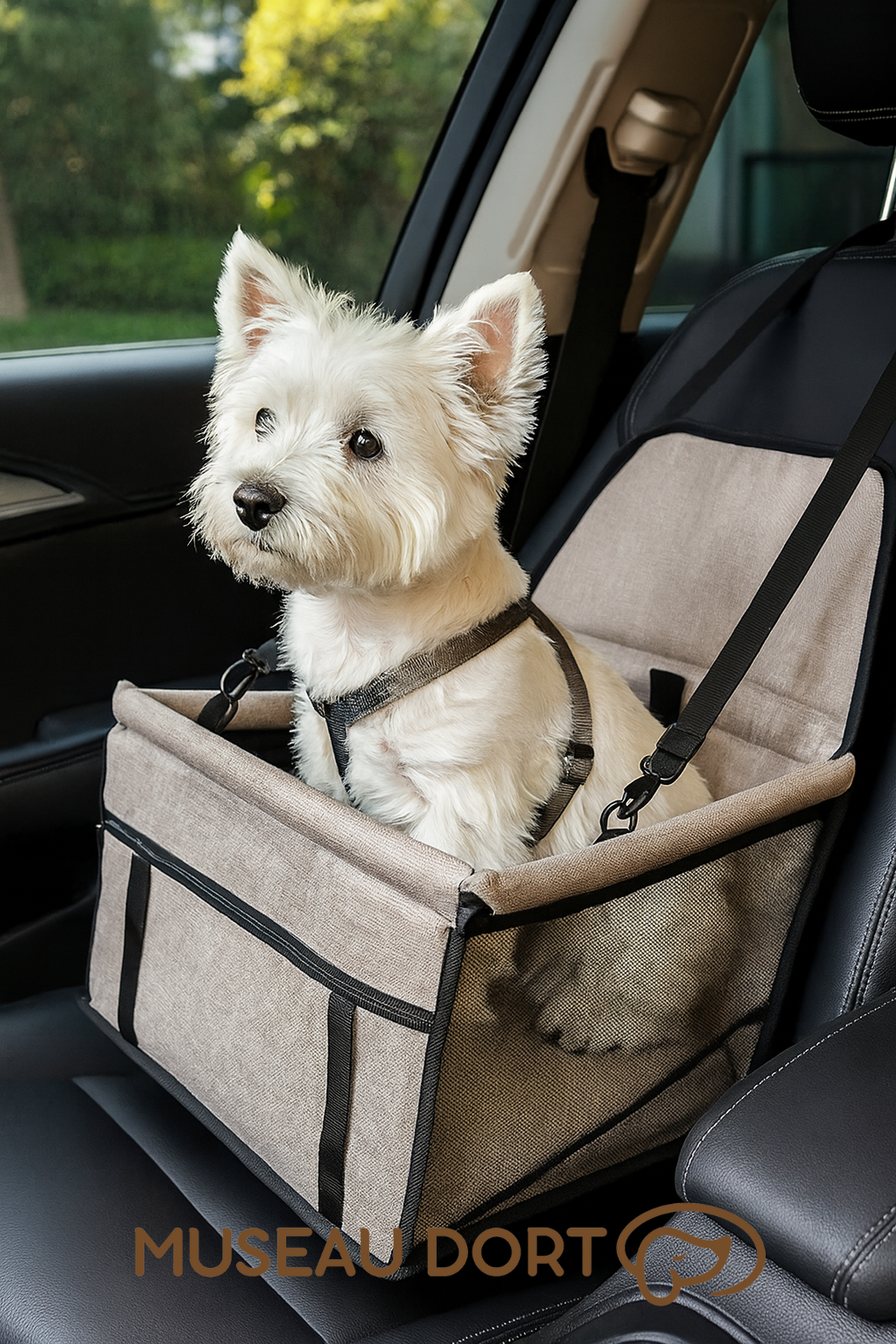 Petit westie assis dans un siège auto pour chien couleur café sur le siège passager d’une voiture – Disponible chez Museau Dort