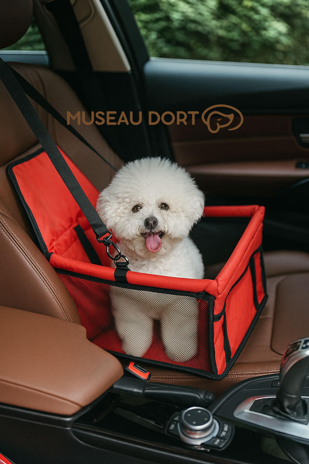 Bichon blanc assis dans un siège auto rouge pour chien sur le siège passager d’une voiture moderne – Disponible chez Museau Dort