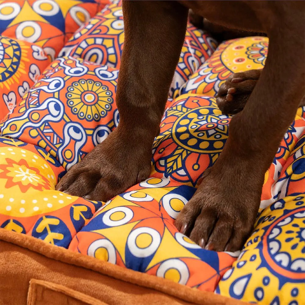 Zoom sur les pattes dâun chien posĂ©es sur un coussin orthopĂ©dique marocain Ă©pais et colorĂ©. Disponible chez Museau Dort.