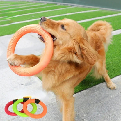 Anneau en caoutchouc résistant pour chien, idéal pour le jeu et l'entraînement. Disponible chez Museau Dort."