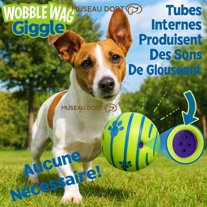 Chien jouant dehors avec la balle sonore Wobble Wag Giggle, jouet interactif avec tubes internes.