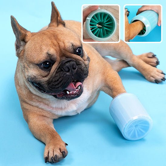 Chien utilisant un lave-patte bleu avec gros plans sur l’intérieur à brosses souples – Disponible chez Museau Dort