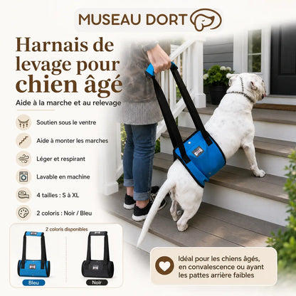 Harnais de levage pour chien âgé – Aide à la marche