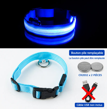 Collier lumineux chien - LedCollar™