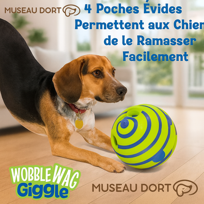 Chien attrapant la balle Wobble Wag Giggle dans un salon moderne, jouet sonore facile à saisir. Disponible chez Museau Dort