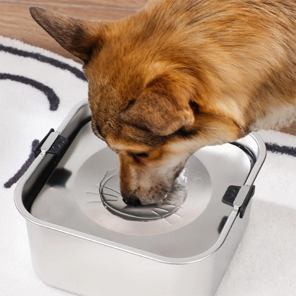 Chien buvant dans une gamelle inox 3L avec disque anti-éclaboussure, idéale pour garder l’eau propre et éviter les débordements. Disponible chez Museau Dort.






Suivi

Créer une gamme d'accessoires assortis pour chiens, comme des tapis antidérapants ou des bols de voyage.

Rechercher des images d'animaux buvant dans une gamelle inox.

Analyser l'impact de l'expérience utilisateur mobile sur la conversion des produits pour animaux.


