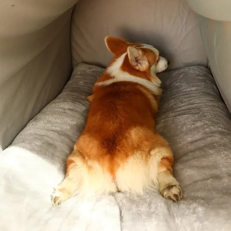 Niche intérieure isolante pour chien de toutes tailles – Disponible chez Museau Dort