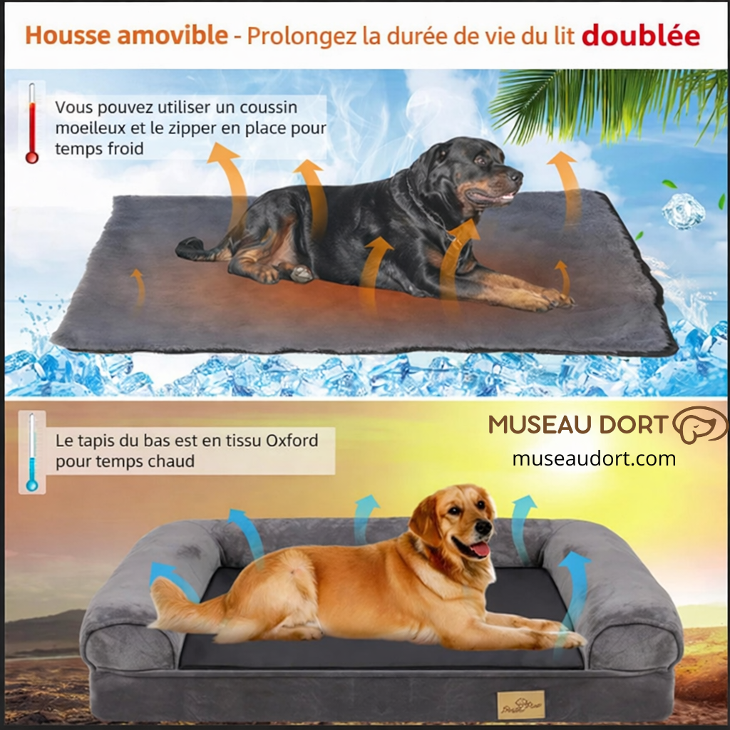 Coussin pour chien réversible chaud et froid avec housse amovible, confort toute saison pour chien âgé – Museau Dort