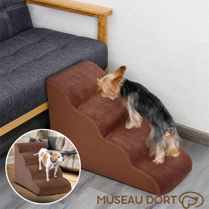 Rampe d’Accès pour Chien – Sécurité, Confort et Liberté Retrouvée