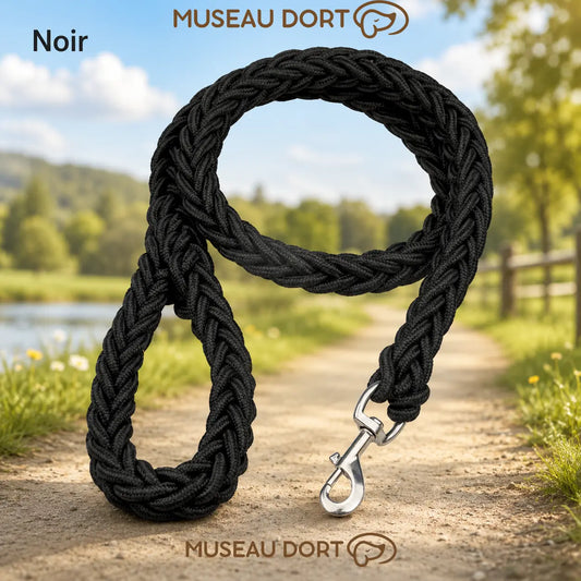 laisse corde pour chien
