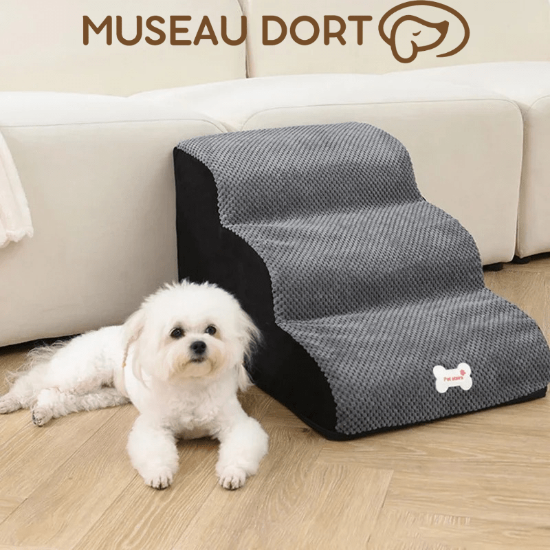 Escalier en mousse pour chien antidérapant placé près du canapé, solution stable pour monter sans sauter – Museau Dort