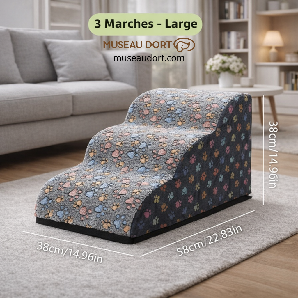 Escalier pour chien 3 marches grande taille, stable et antidérapant, avec dimensions visibles, aide la mobilité au quotidien