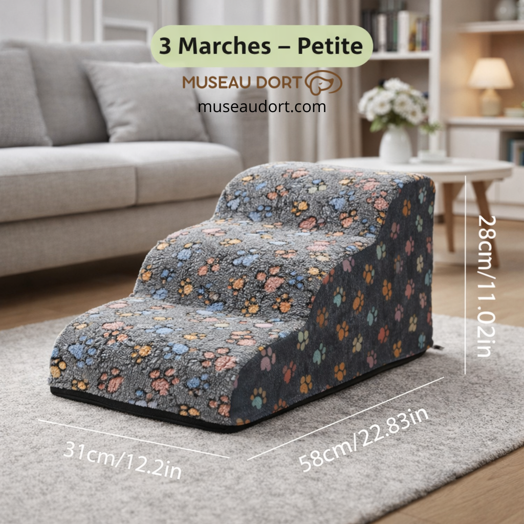 Escalier pour chien 3 marches petite taille, stable et antidérapant, avec dimensions visibles, aide à la mobilité à la maison