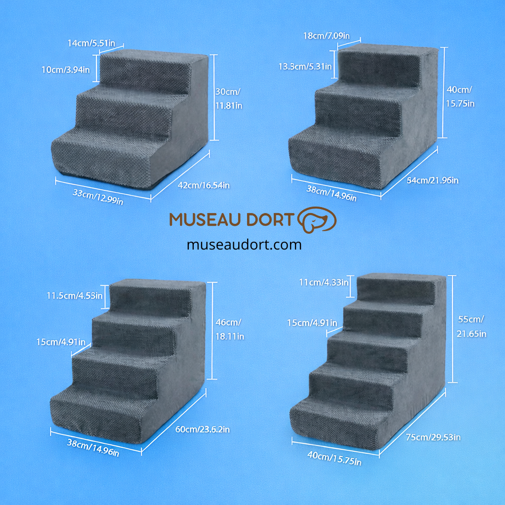 Escalier pour chien en mousse antidérapante, dimensions des tailles 3 à 5 marches sur fond bleu, comparaison visuelle.