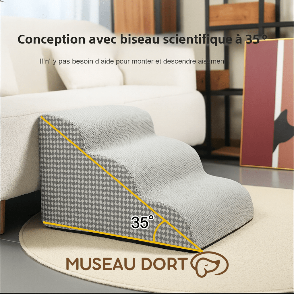 Escalier pour chien avec angle de 35 degrés, conception ergonomique pour monter et descendre sans effort, intérieur.