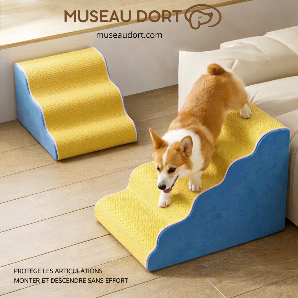 Escalier pour chien 4 marches antidérapant, corgi descendant sans effort, protège les articulations, usage intérieur, Museau Dort