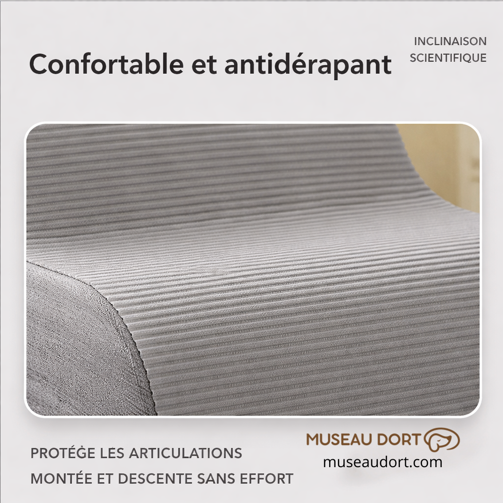 Escalier pour chien antidérapant en mousse gris, surface confortable protégeant les articulations, Museau Dort