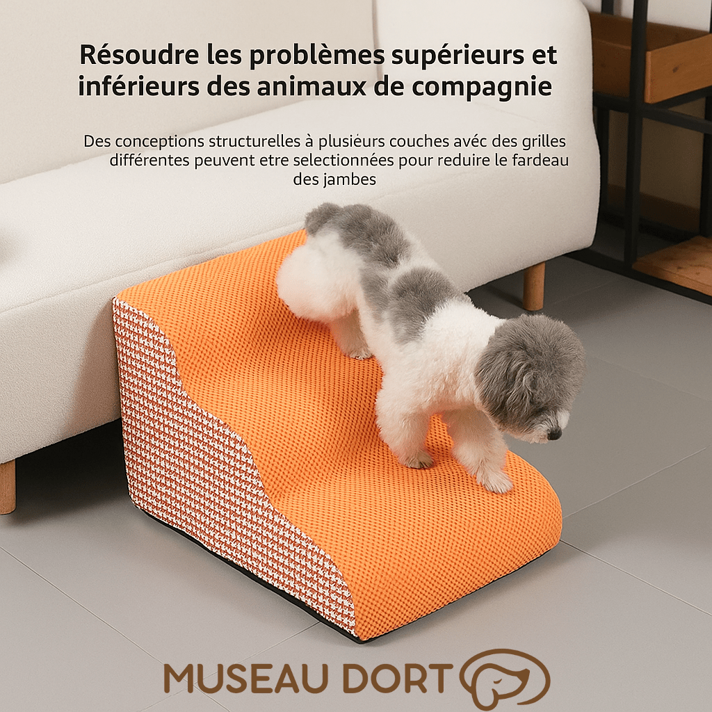 Escalier pour chien en mousse utilisé par un petit chien pour monter sans effort, soutien des pattes et des articulations.