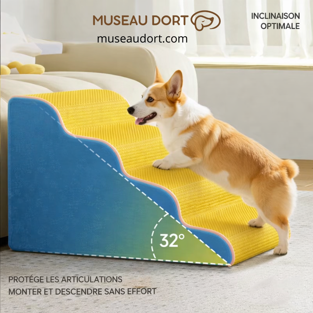 Escalier pour chien antidérapant avec inclinaison 32°, protège les articulations, montée facile pour petit chien, Museau Dort